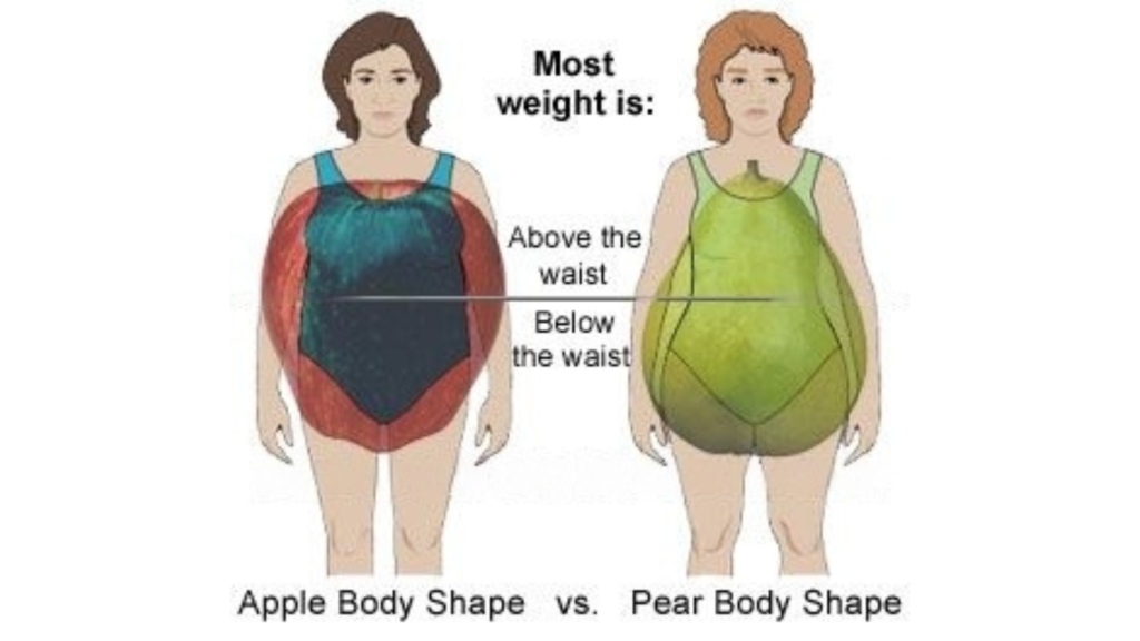 Type of Belly Fat