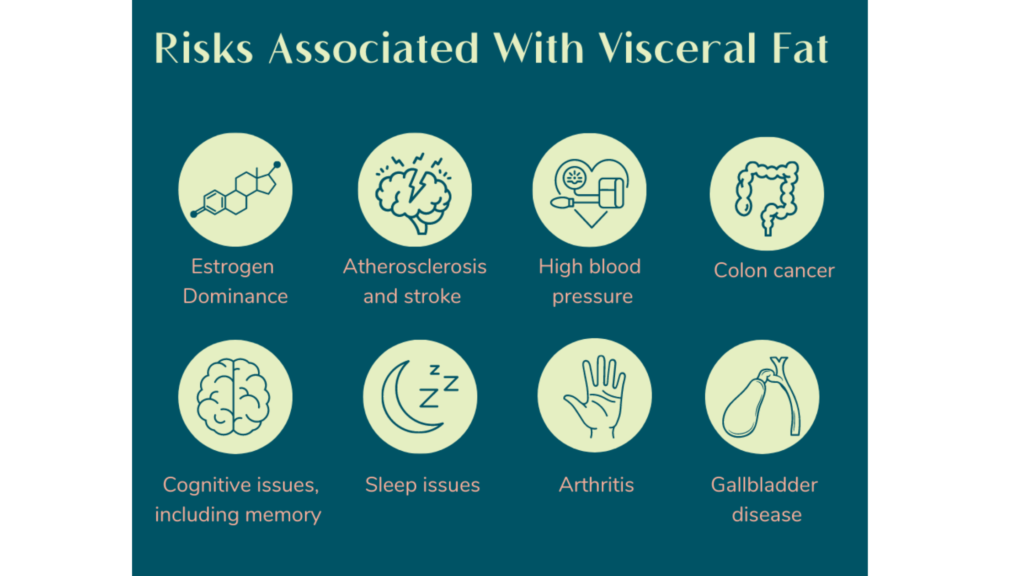 Risks Associated with Visceral Fat